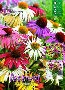 Festival Spring Big packs mixes Echinacea Butterfly Hybrids Mix  I (x10x3)