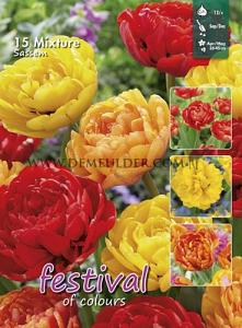 Mix Sassem I (x12x15)