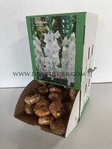  Binbox Gladiolen White 14/+ (x80)