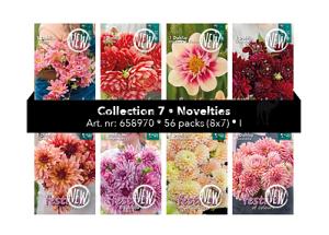 Coll. 07 Dahlia New 56 packages