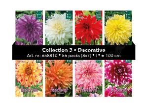 Coll. 03 Dahlia Decorative 100 cm 56 packages