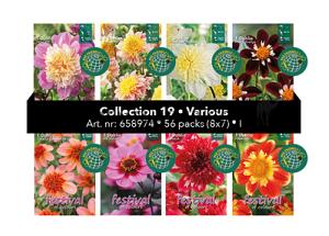 Coll. 19 Dahlia's 56 packages