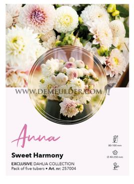 Dahlia mixed Dahlia Collecties Exclusive Collection Exclusive Collection Dahlia's Anna