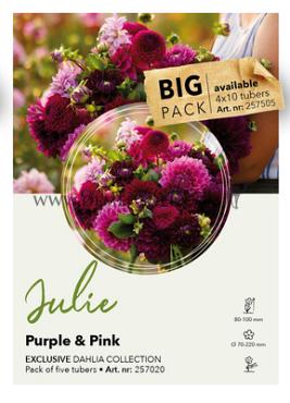 Dahlia mixed Dahlia Collecties Exclusive Collection Exclusive Collection Dahlia's Julie