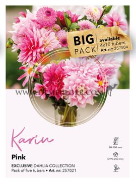 Dahlia mixed Dahlia Collecties Exclusive Collection Exclusive Collection Dahlia's Karen