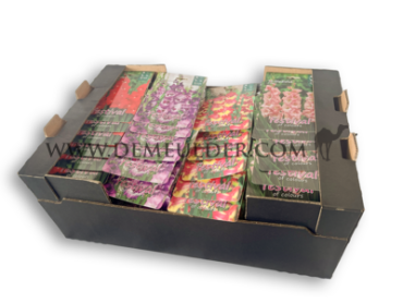 Coll. 08 Gladiolen 14/+ 56 packages