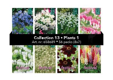 Coll. 13 Perennials I 56 packages