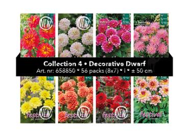 Coll. 04 Dahlia Decorative 50 cm 56 packages
