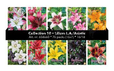 Coll. 10 Lelies Asian 16/18 70 packages