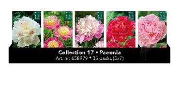Coll. 17 Paeonia 35 packages