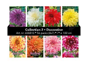 Coll. 03 Dahlia Decorative 100 cm 56 packages