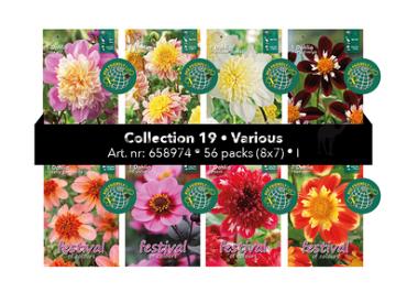 Coll. 19 Dahlia's 56 packages