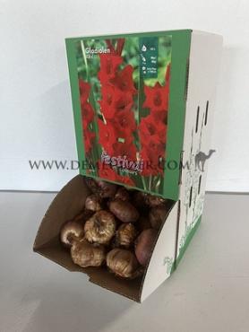  Binbox Gladiolen Red 14/+ (x80)
