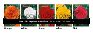 Nr. 112 Begonia Grandifl. 7/+ (5x20)