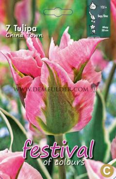 Tulips China Town 12/+ (x12x7)