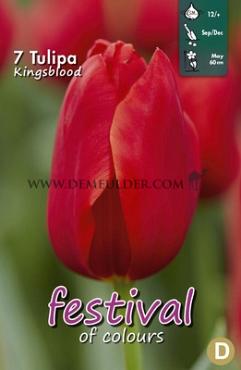 Tulips Kingsblood 12/+ (x12x7)