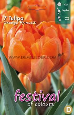Tulips Orange Princess 12/+ (x12x7)