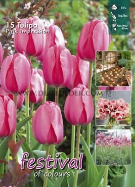 Tulips Pink Impression 12/+ (x20x15)