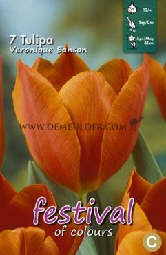 Tulips Veronique Sanson 12/+ (x12x7)
