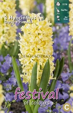 Hyacinths Gipsy Princess 17/18 (x10x3)