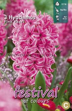 Hyacinths Pink Pearl 17/18 (x10x3)