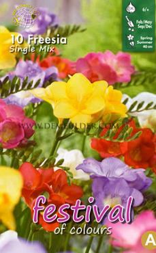 Freesia Mixed Single 5/+ (x14x10) (Summer)