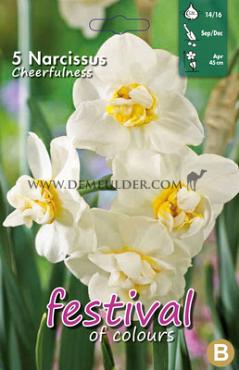 Narcissus Cheerfulness 14/16 (x8x5)