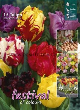 Tulips Parrot Mixed 12/+ (x20x15)