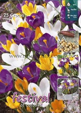 Crocus Mixed 8/9 (x20x25)