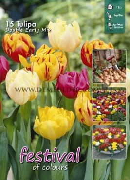 Tulips Double Early Mixed 12/+ (x20x15)