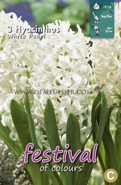 Hyacinths White Pearl 17/18 (x10x3)