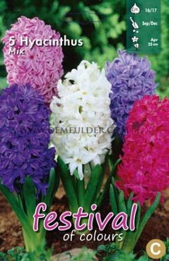 Hyacinths Mixed 17/18 (x10x5)
