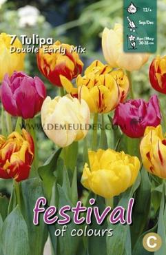 Tulips Double Early Mixed 12/+ (x12x7)