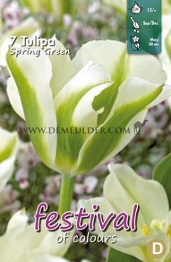 Tulips Spring Green 12/+ (x12x7)