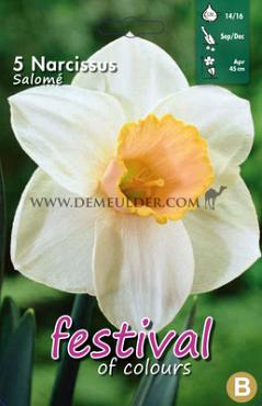 Narcissus Salomé 14/16 (x8x5)