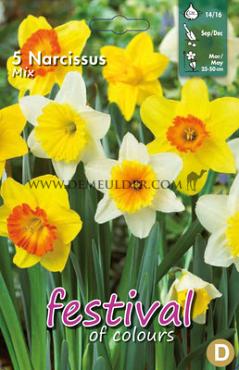 Narcissus Mixed 12/14 (x12x10)