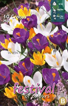 Crocus Vernus Mixed 9/10 (x12x10)