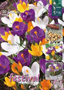 Crocus Mixed 7/8 (x40x50)