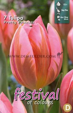 Tulips Pretty Princess 12/+ (x12x7)