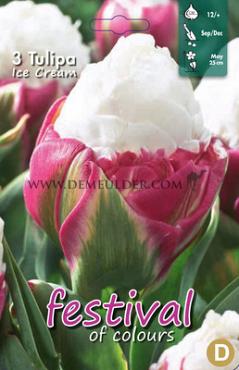 Tulips Ice Cream 11/+ (x12x3)