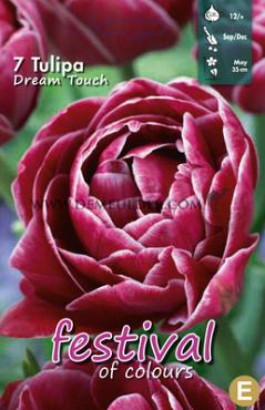 Tulips Dream Touch 11/12 (x12x7)