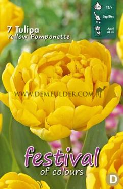 Tulips Yellow Pomponette 12/+ (x12x7)