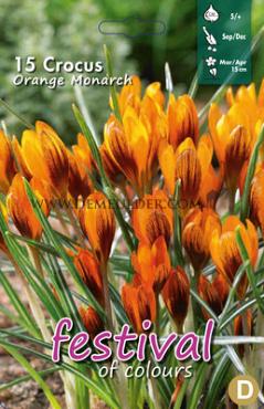Crocus Orange Monarch 5/+ (x12x15)