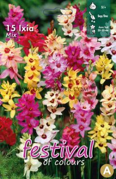 Ixia Mixed 5/+ (x12x15) (Summer)