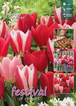 Mix Delight Mixed 12/+ (x12x15)