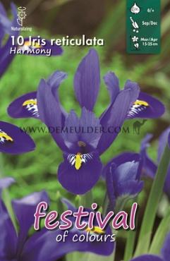 Iris Harmony 6/+ (x12x10)