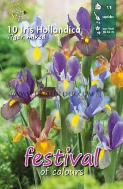 Iris Tiger Mixed 7/8 (x12x10)