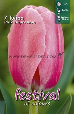 Tulips Pink Impression 12/+ (x12x7)