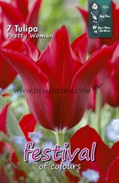Tulips Pretty Woman 12/+ (x12x7)