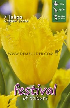 Tulips Golden State 12/+ (x12x7)